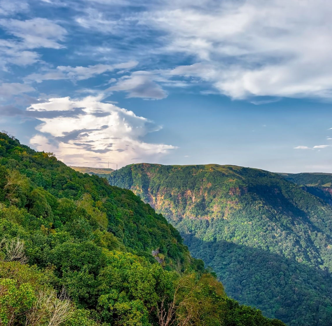 product-details__img