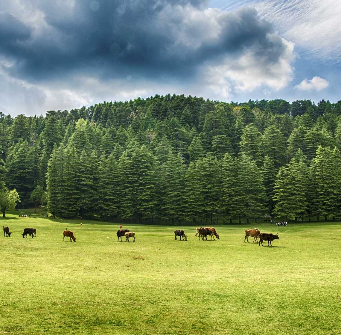 product-details__img