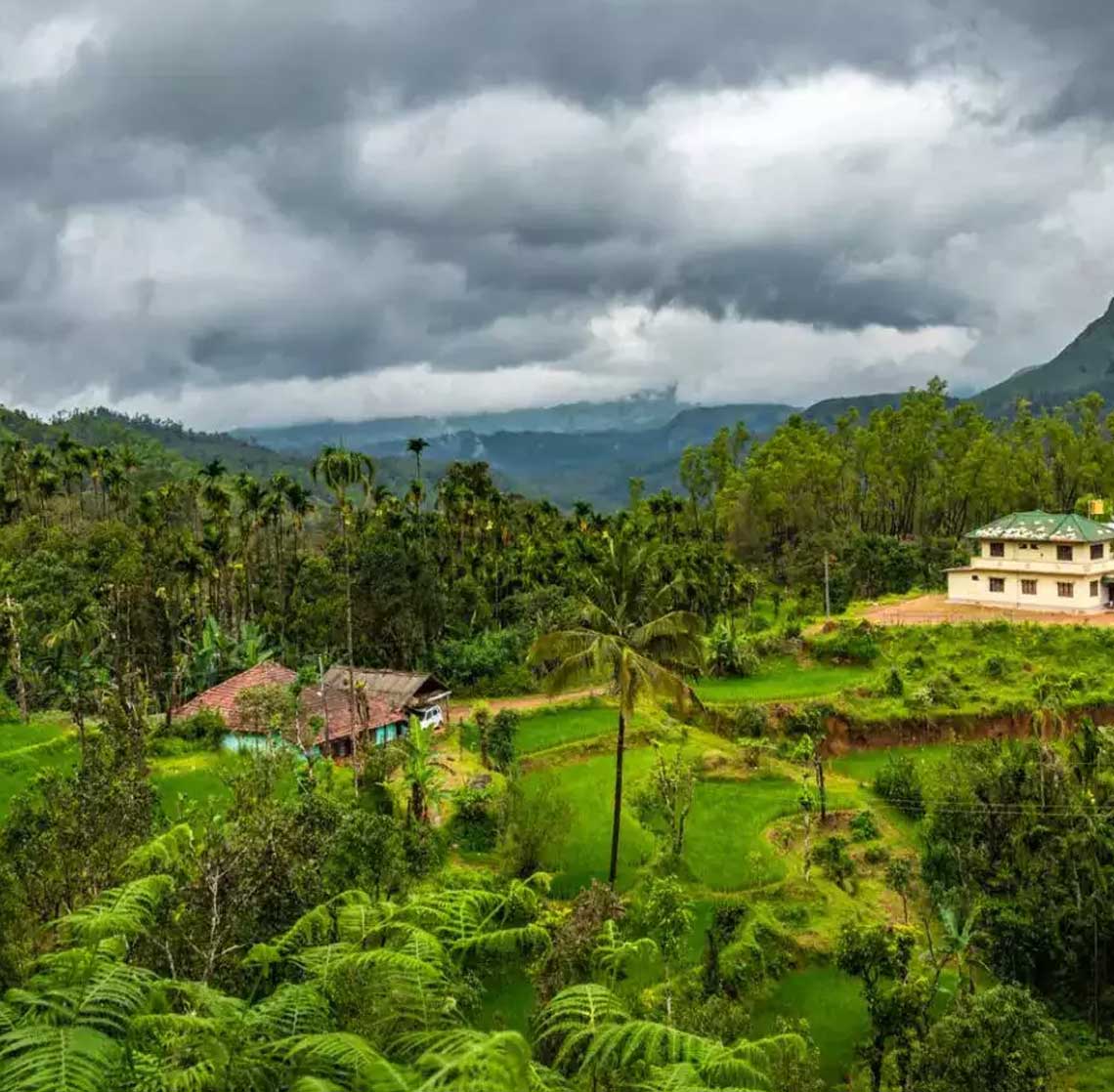 product-details__img