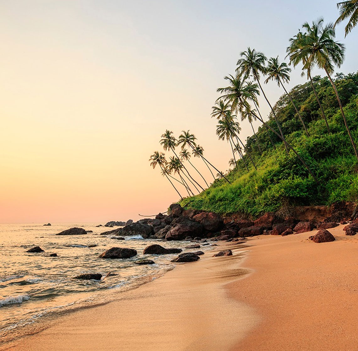 product-details__img